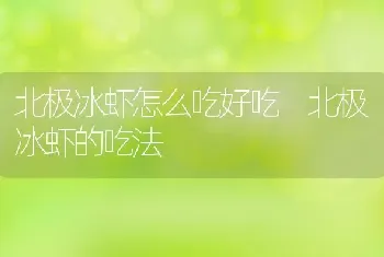 北极冰虾怎么吃好吃 北极冰虾的吃法