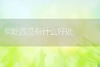 常吃西瓜有什么好处