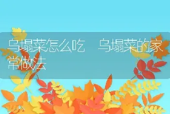 乌塌菜怎么吃 乌塌菜的家常做法