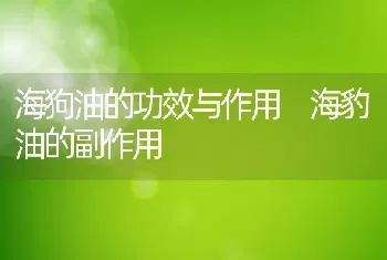 海狗油的功效与作用 海豹油的副作用