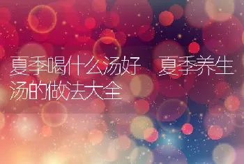 夏季喝什么汤好 夏季养生汤的做法大全