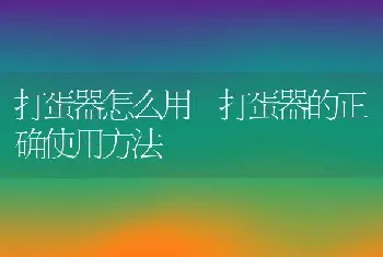 打蛋器怎么用 打蛋器的正确使用方法