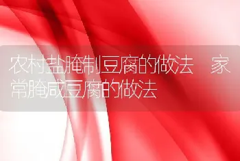 农村盐腌制豆腐的做法 家常腌咸豆腐的做法