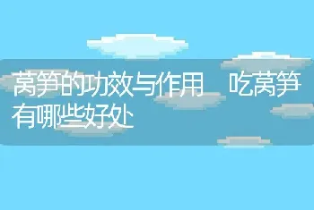 莴笋的功效与作用 吃莴笋有哪些好处