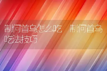 制何首乌怎么吃 制何首乌吃法技巧