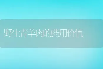 野生青羊肉的药用价值