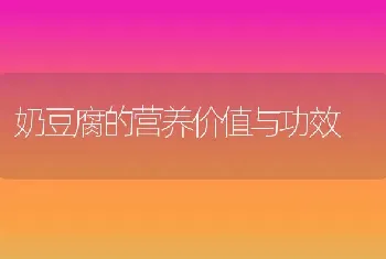 奶豆腐的营养价值与功效