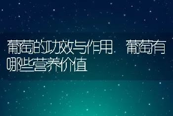 葡萄的功效与作用 葡萄有哪些营养价值