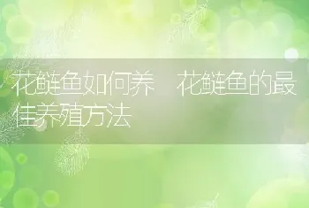 花鲢鱼如何养 花鲢鱼的最佳养殖方法