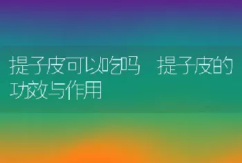 提子皮可以吃吗 提子皮的功效与作用