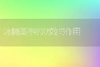 冰糖蒸枣的功效与作用