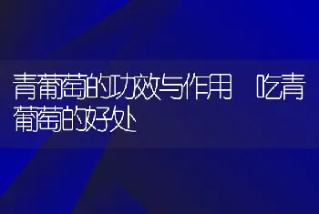 青葡萄的功效与作用 吃青葡萄的好处