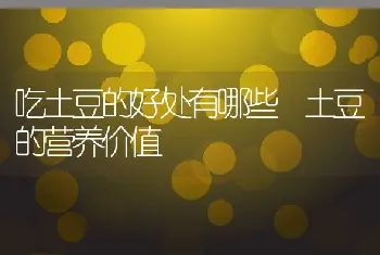 毛尖如何泡好喝 毛尖的冲泡方法