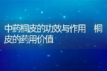 中药桐皮的功效与作用 桐皮的药用价值