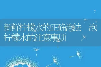 新鲜柠檬水的正确泡法 泡柠檬水的注意事项