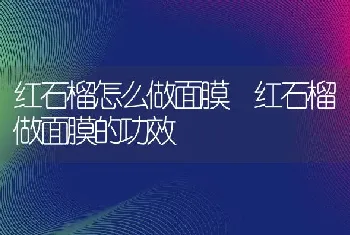 红石榴怎么做面膜 红石榴做面膜的功效