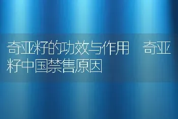 奇亚籽的功效与作用 奇亚籽中国禁售原因