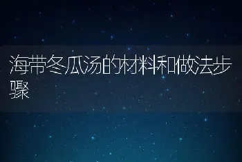 海带冬瓜汤的材料和做法步骤