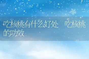 吃核桃有什么好处 吃核桃的功效