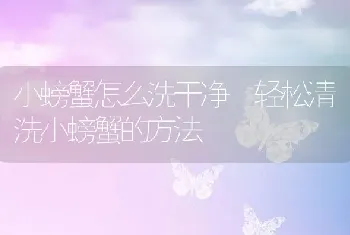 小螃蟹怎么洗干净 轻松清洗小螃蟹的方法