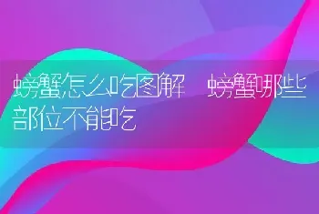 螃蟹怎么吃图解 螃蟹哪些部位不能吃