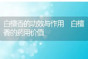 白檀香的功效与作用 白檀香的药用价值