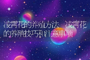 黄鳝汤怎么做好吃