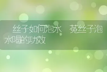 莬丝子如何泡水 菟丝子泡水喝的功效