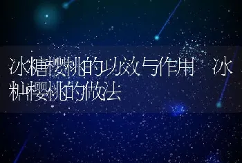 冰糖樱桃的功效与作用 冰糖樱桃的做法