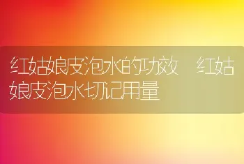 红姑娘皮泡水的功效 红姑娘皮泡水切记用量