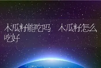 木瓜籽能吃吗 木瓜籽怎么吃好