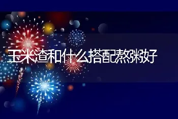 玉米渣和什么搭配熬粥好