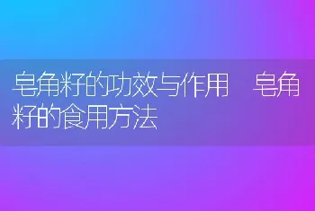 皂角籽的功效与作用 皂角籽的食用方法