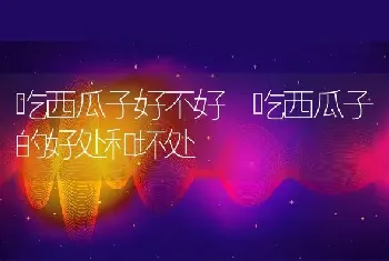 吃西瓜子好不好 吃西瓜子的好处和坏处