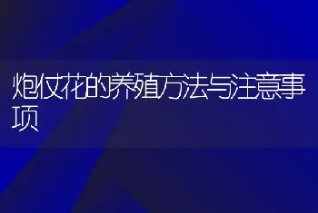 炮仗花的养殖方法与注意事项