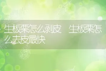 生板栗怎么剥皮 生板栗怎么去皮最快