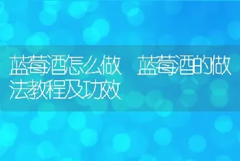 蓝莓酒怎么做 蓝莓酒的做法教程及功效