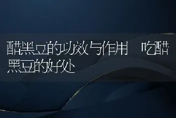 醋黑豆的功效与作用 吃醋黑豆的好处