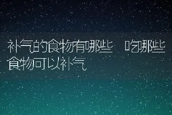 补气的食物有哪些 吃哪些食物可以补气