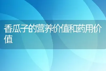 香瓜子的营养价值和药用价值