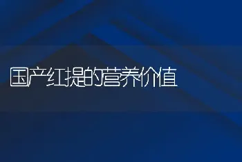 国产红提的营养价值