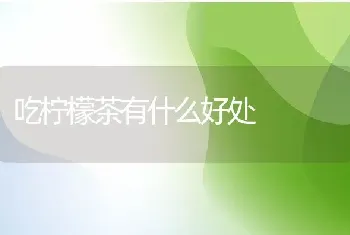 吃柠檬茶有什么好处