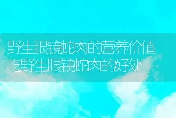 野生眼镜蛇肉的营养价值 吃野生眼镜蛇肉的好处