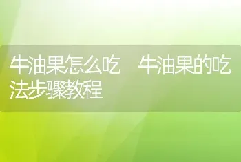 牛油果怎么吃 牛油果的吃法步骤教程