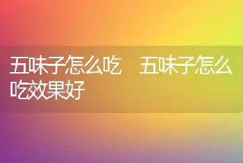 五味子怎么吃 五味子怎么吃效果好