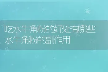 吃水牛角粉的好处有哪些 水牛角粉的副作用