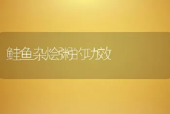 鲑鱼杂烩粥的功效