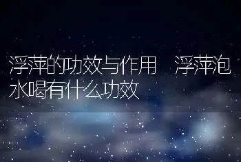 浮萍的功效与作用 浮萍泡水喝有什么功效