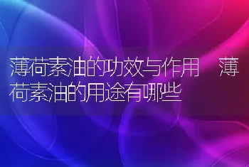 薄荷素油的功效与作用 薄荷素油的用途有哪些