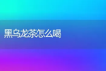 黑乌龙茶怎么喝